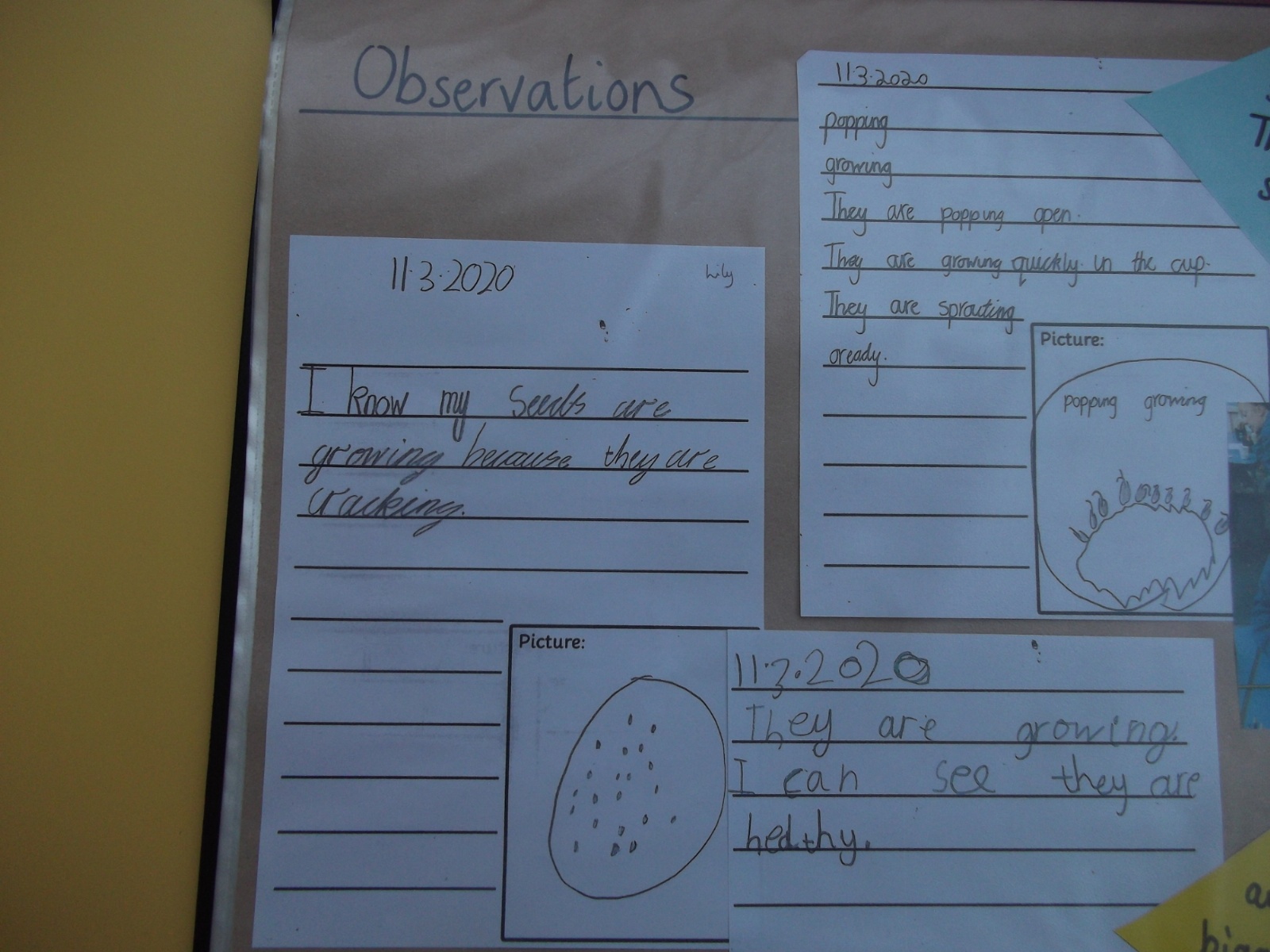 Hindhayes Infant School - Floor books in action